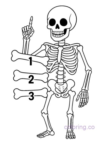 Fun Skeleton Counting Coloring Page