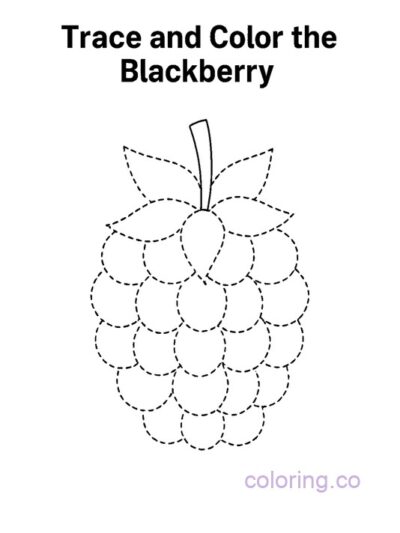 Fun Blackberry Coloring Page
