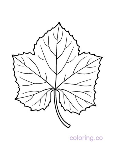 Big Cucumber Leaf Coloring Page