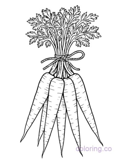 Realistic Bunched Carrots Coloring Page
