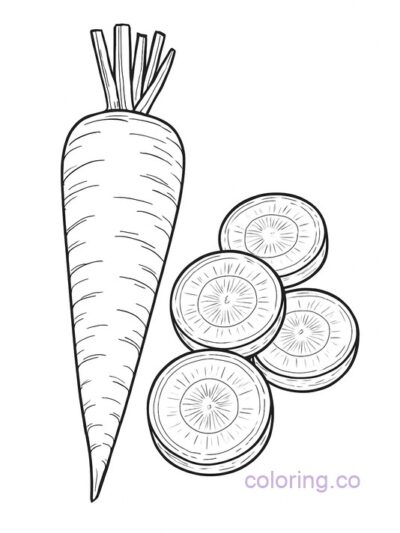 carrot adult coloring page