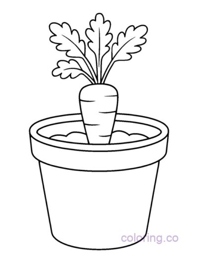 Carrot in Flowerpot Coloring Page