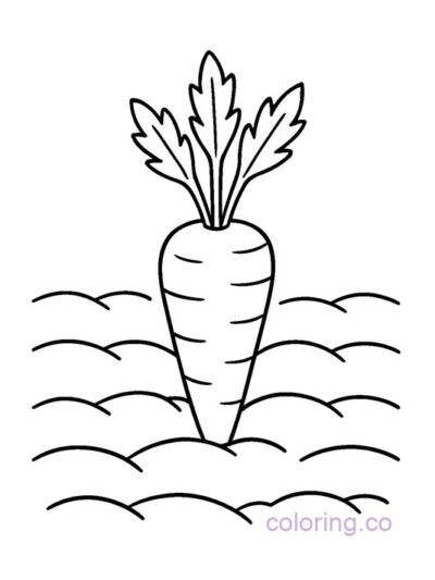 Carrot in Garden Coloring Page