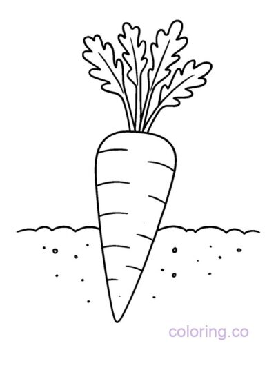 Cute Carrot on Ground Coloring Page