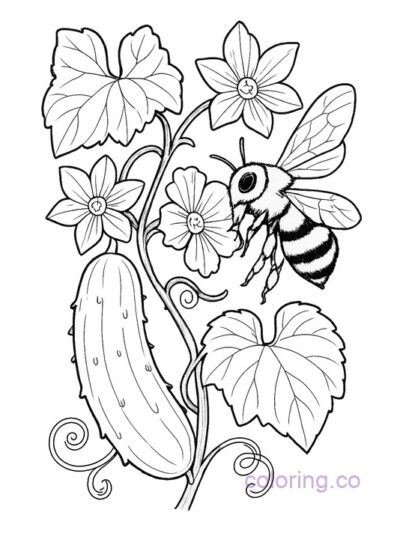 Cute Cucumber and Bee Coloring Page