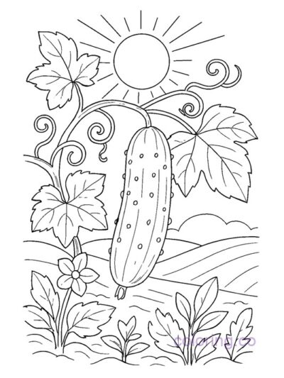 Cucumber in Sunlight Coloring Page