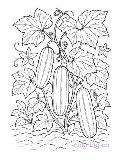 Fun Cucumber Garden Coloring Page