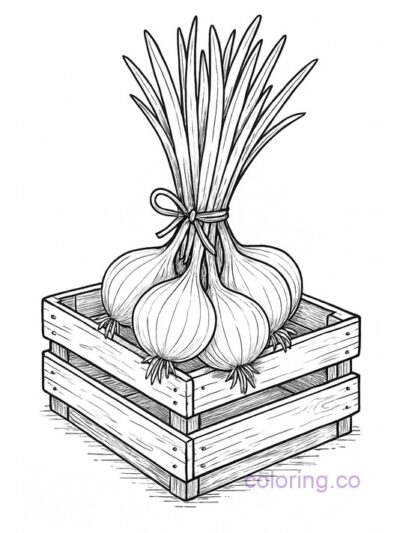 realistic onion bundle coloring page