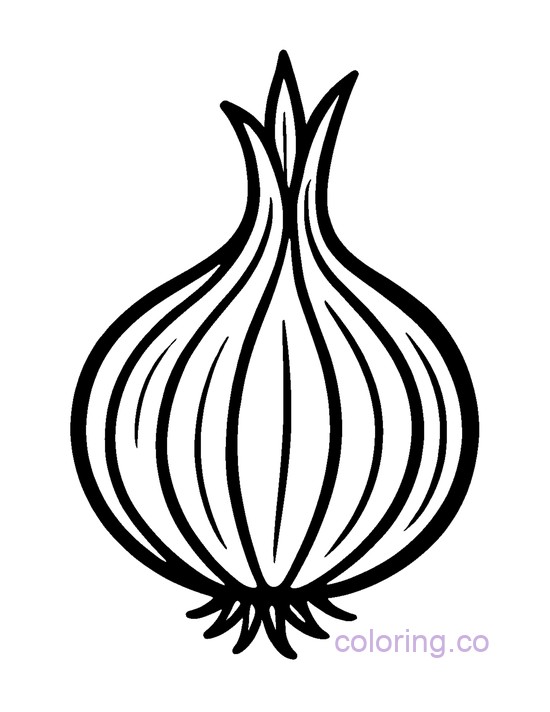 bold onion with thick lines, easy coloring sheet for kids