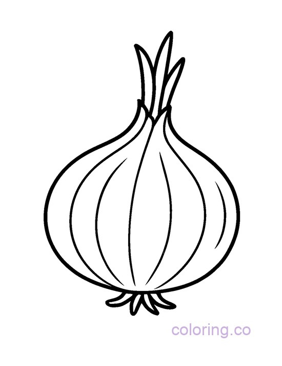 Simple Onion