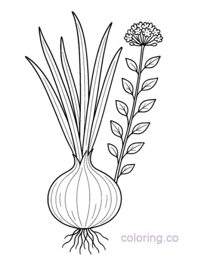 Fun Onion Botanical Coloring Page