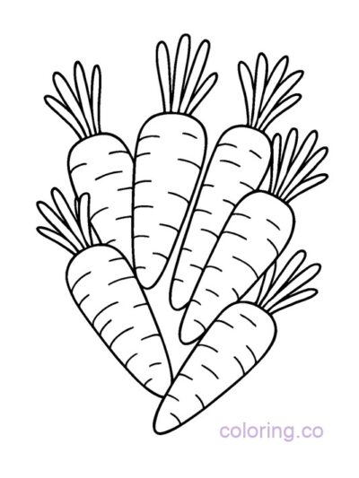 Cute Carrot Coloring Page for Preschool