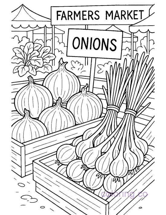 Farmers Market Onion
