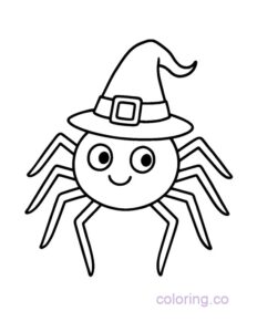 cute spider with a witch hat, coloring page for preschoolers