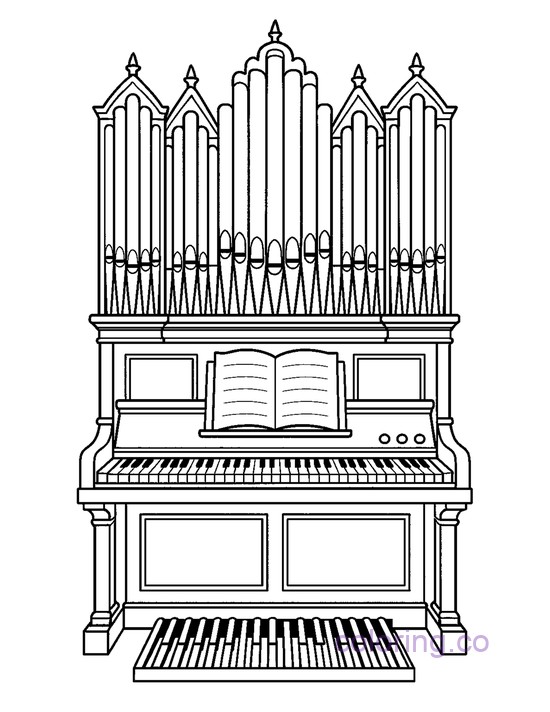 Intricate Pipe Organ