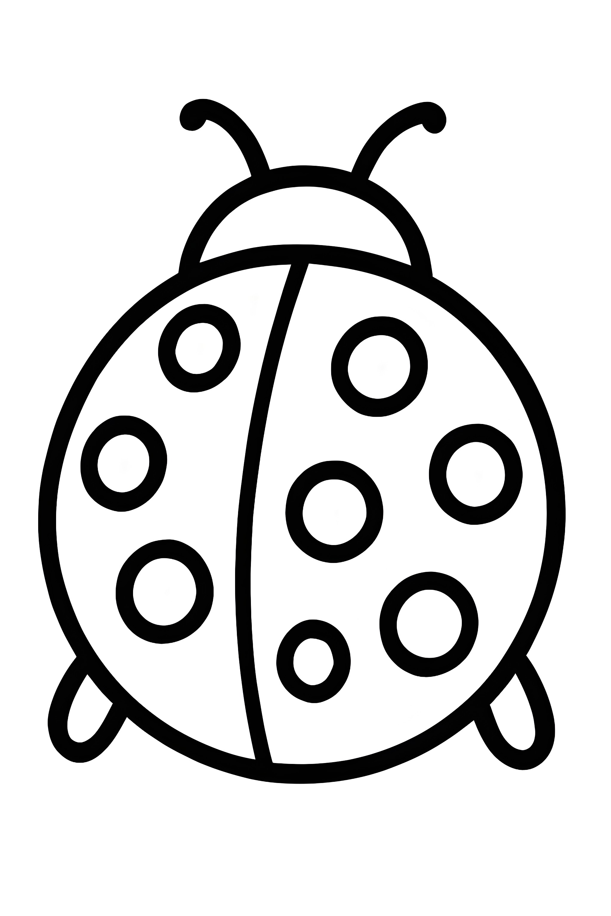 Coloring page showcasing a close-up view of a ladybug's back with distinct spot patterns and antennae