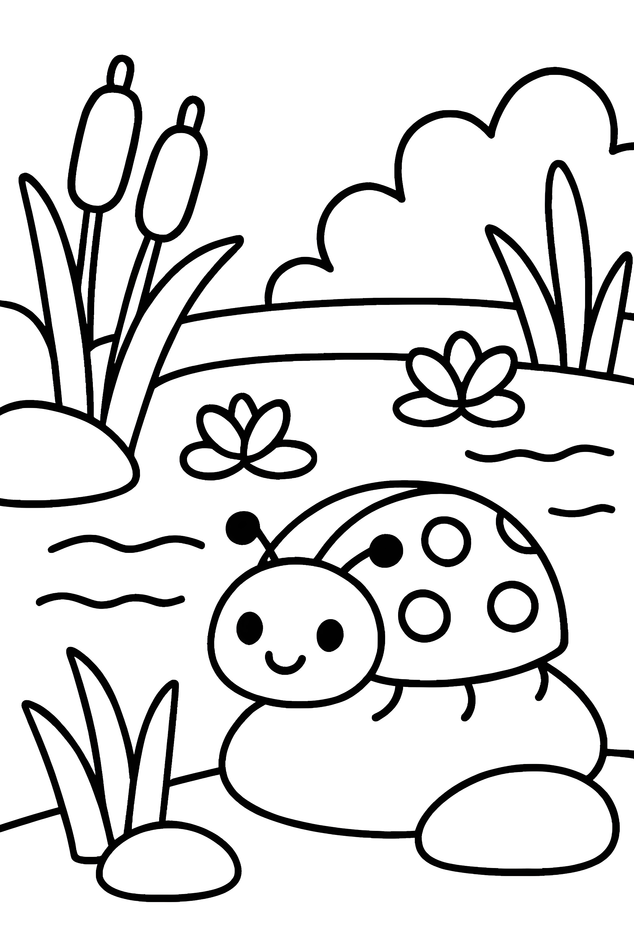 Coloring page depicting a ladybug resting on a pebble near a small pond with plants and cattails in the background