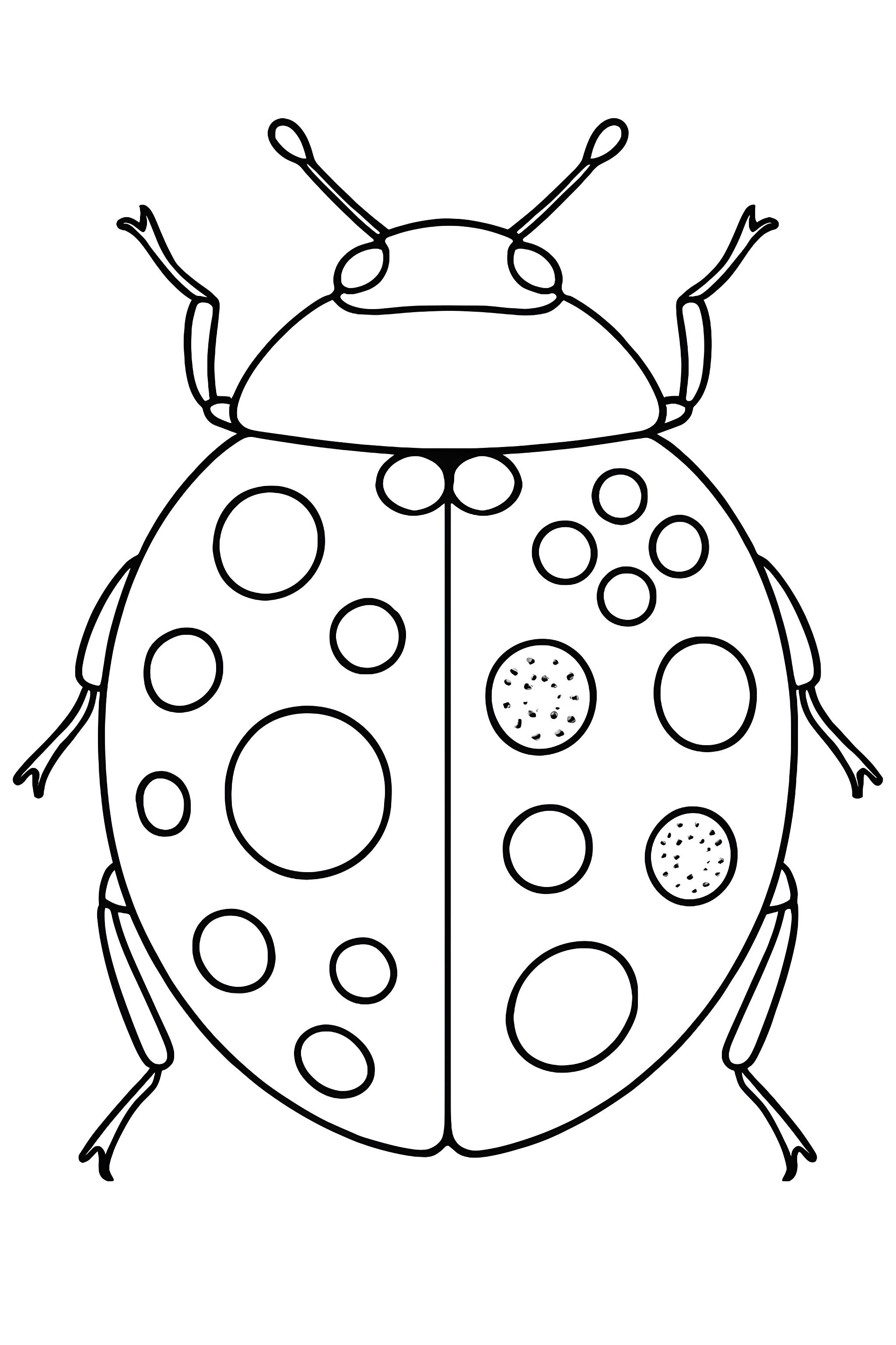 Coloring page of a ladybug's back showcasing various distinct spot patterns in different sizes and shapes
