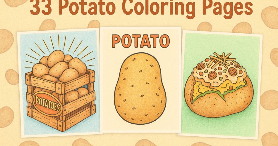 Illustration showing three potato-themed coloring pages with the title “33 Potato Coloring Pages” above them; one page features a wooden crate of potatoes, another shows a single labeled potato, and the third displays a loaded baked potato topped with garnish.