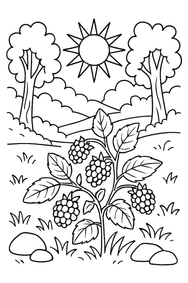Coloring page featuring a blackberry bush with ripe blackberries under a sun in a forest clearing with trees and grass