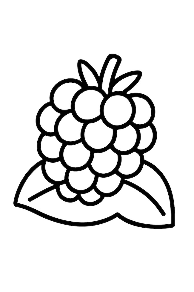 Coloring page of a blackberry resting on a green leaf with outlined details