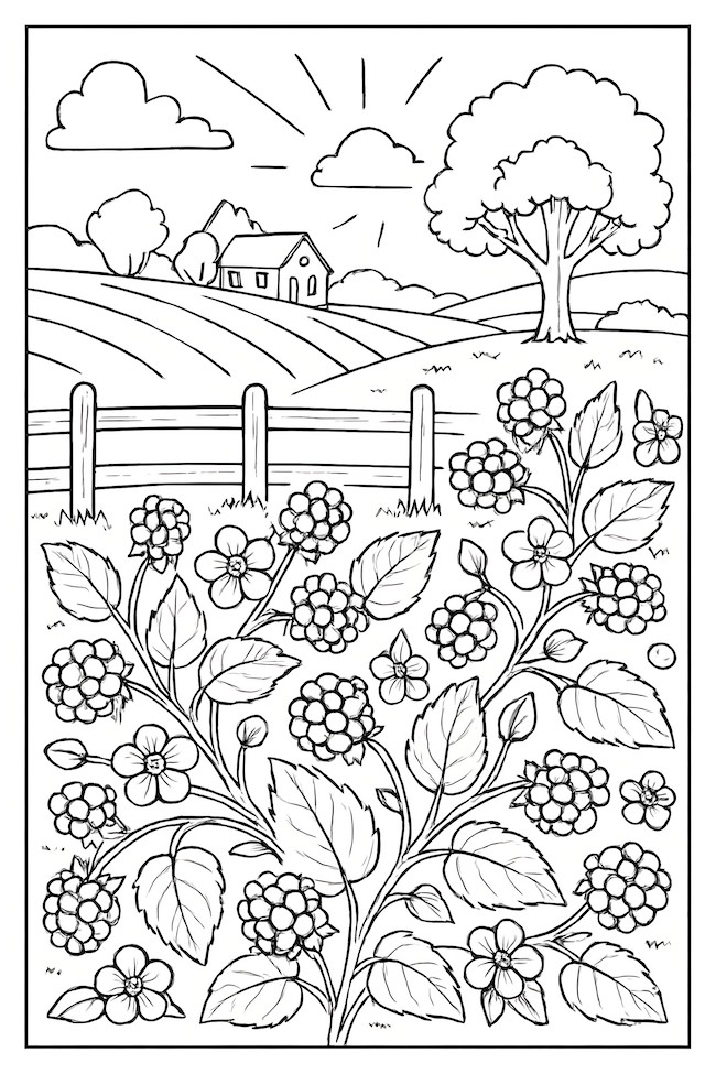 Coloring page of blackberry shrubs with flowers in a peaceful countryside landscape featuring rolling hills and a house