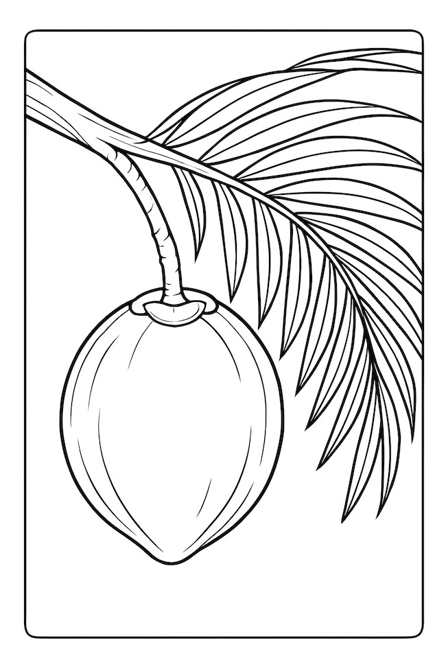 Coconut hanging from a tree branch with a palm frond in the background