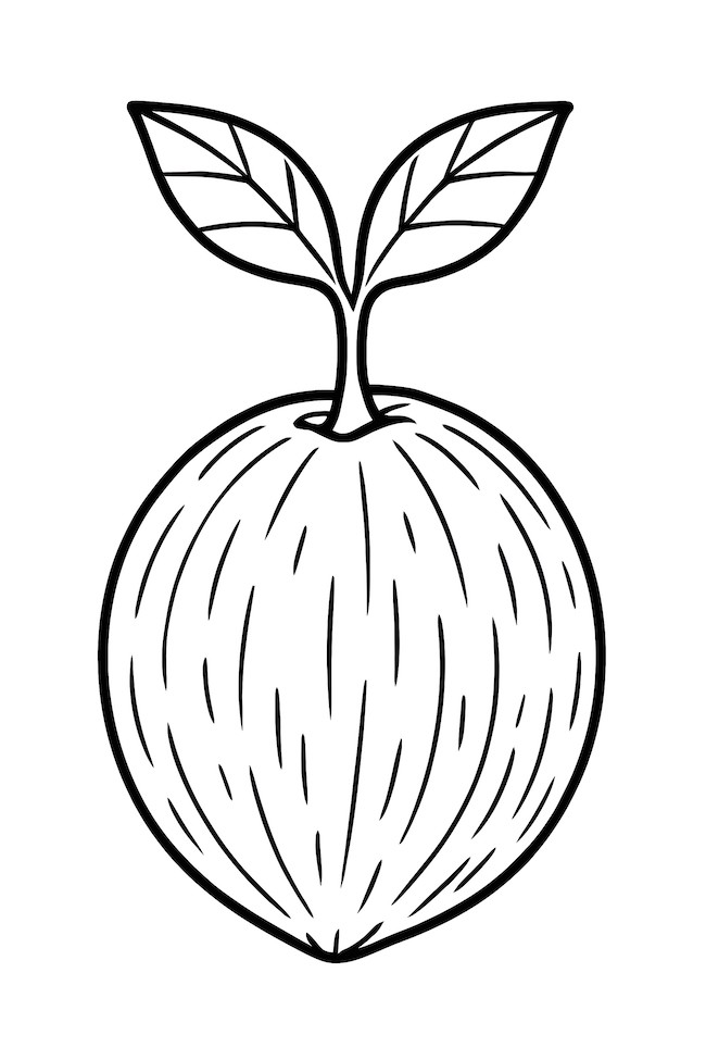 Coloring page of a coconut featuring a small plant with two leaves growing from its top