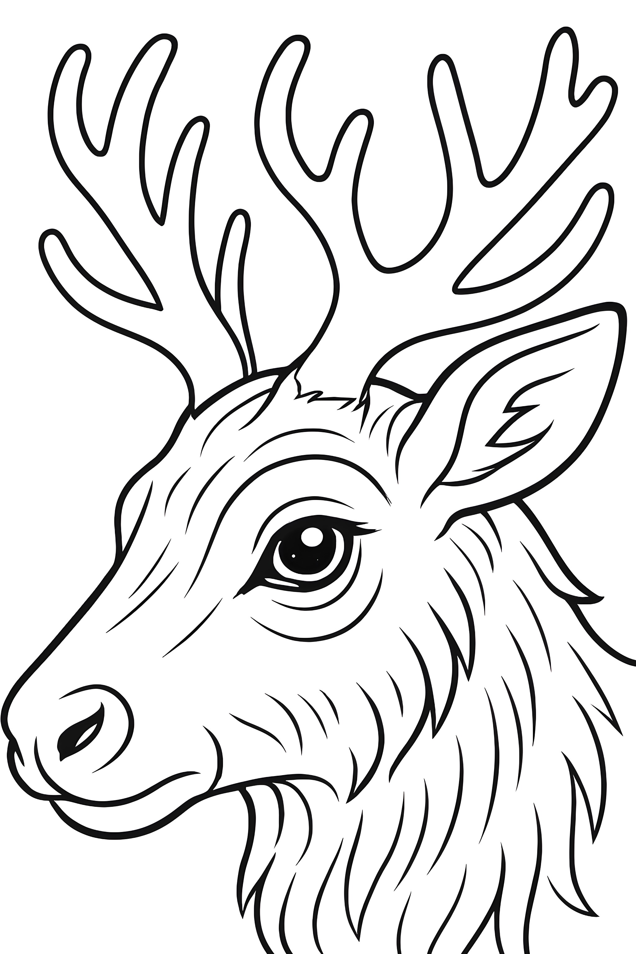 Coloring page featuring a close-up of a reindeer's eye, detailed fur texture, and prominent antlers.