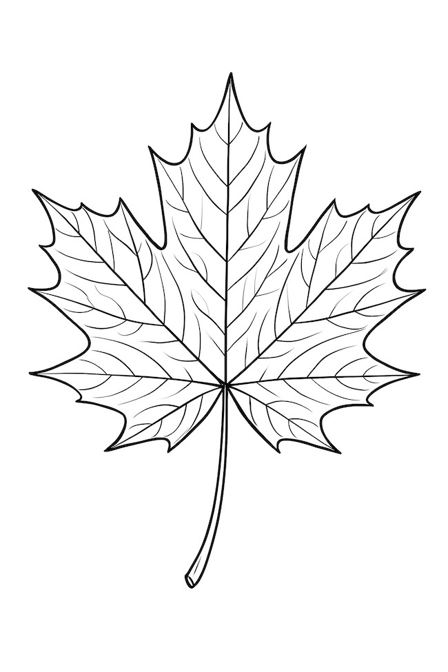 Coloring page of a single maple leaf featuring intricate details and veins