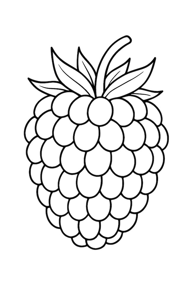 Coloring page of a ripe blackberry with individual drupelets and prominent leaves