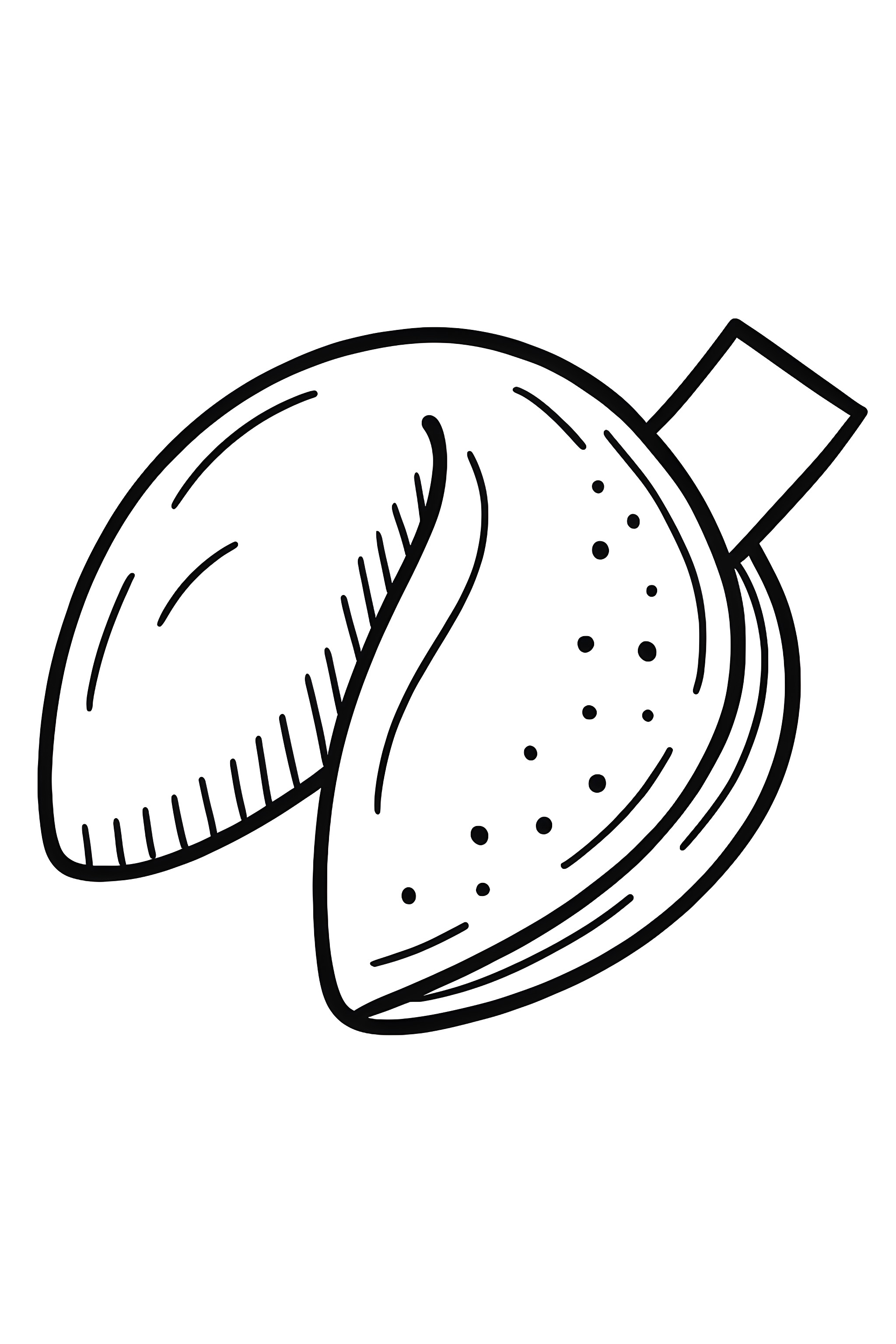 Coloring page featuring a fortune cookie with a fortune paper partially sticking out