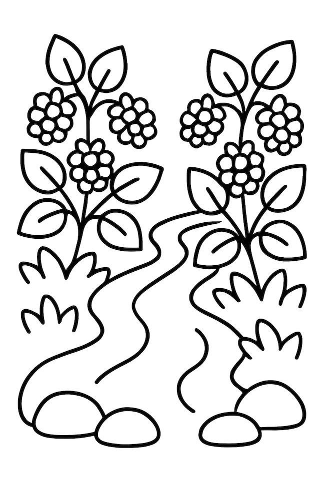 Coloring page of a gentle stream flowing along wild blackberry bushes with flowers and leaves