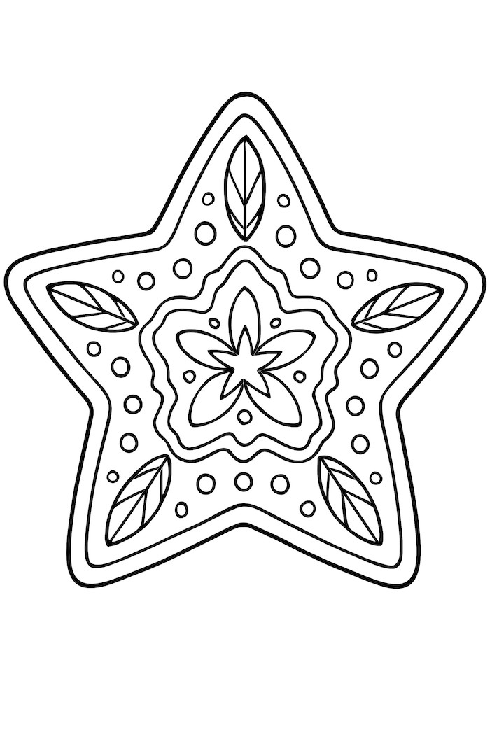 Gingerbread star cookie featuring detailed icing patterns, including floral designs and decorative leaves