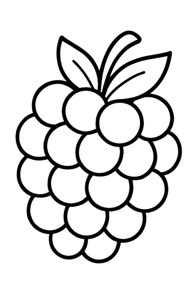 Coloring page of a large blackberry with round berries and leaves