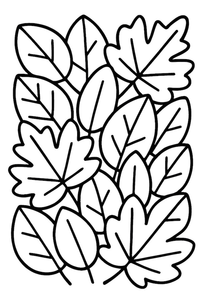 Coloring page featuring a pattern of overlapping forest leaves with distinct shapes and outlines