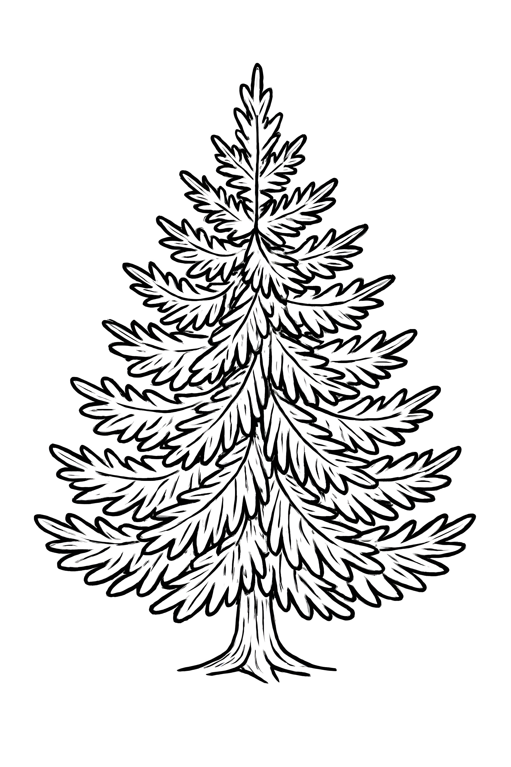 Coloring page featuring a detailed fir Christmas tree with a bushy appearance and intricate needle patterns