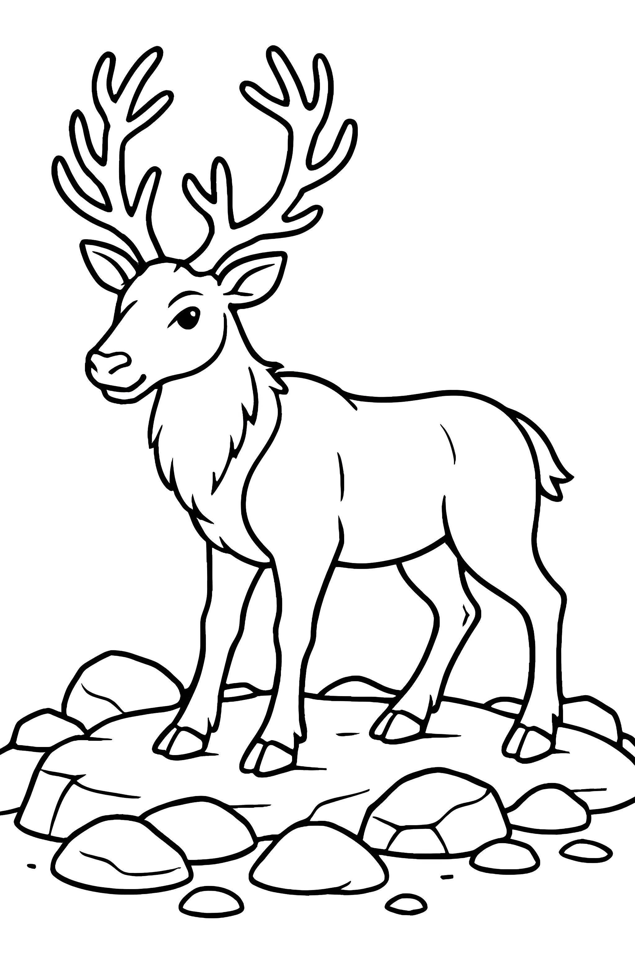 A reindeer standing on a rocky surface with detailed antlers and legs
