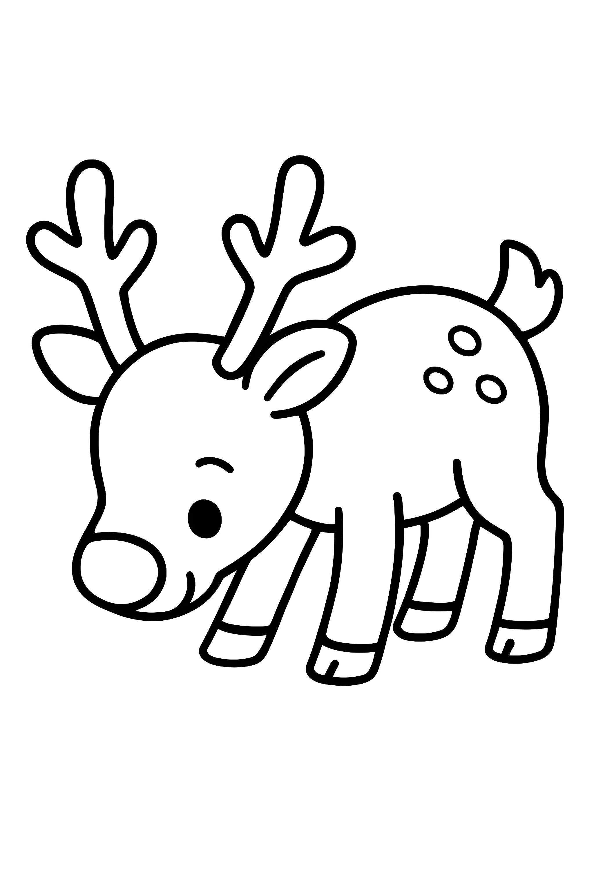 A reindeer sniffing the ground with antlers and distinct markings