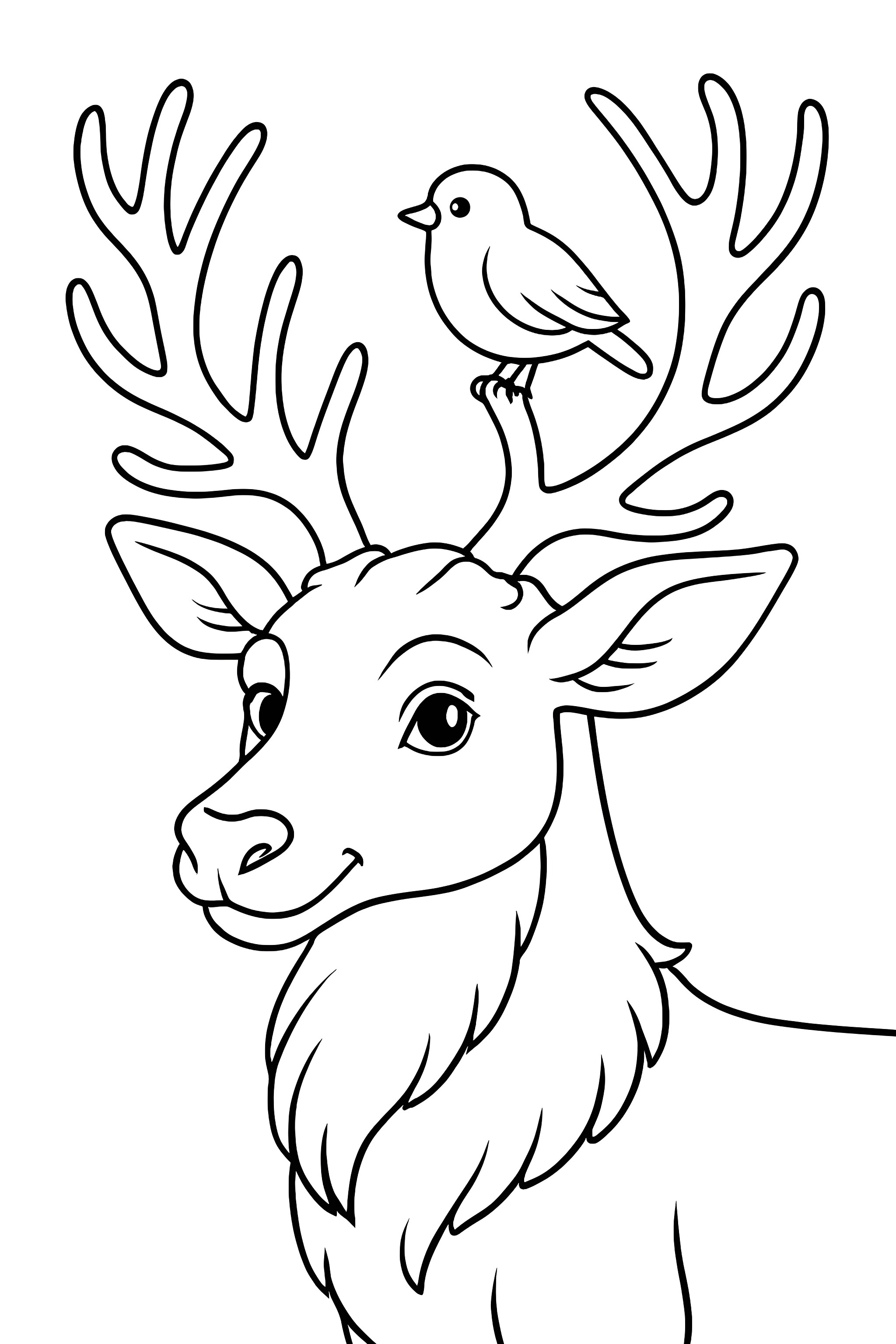 A reindeer with a bird perched on its antlers, showcasing a detailed face and prominent antlers