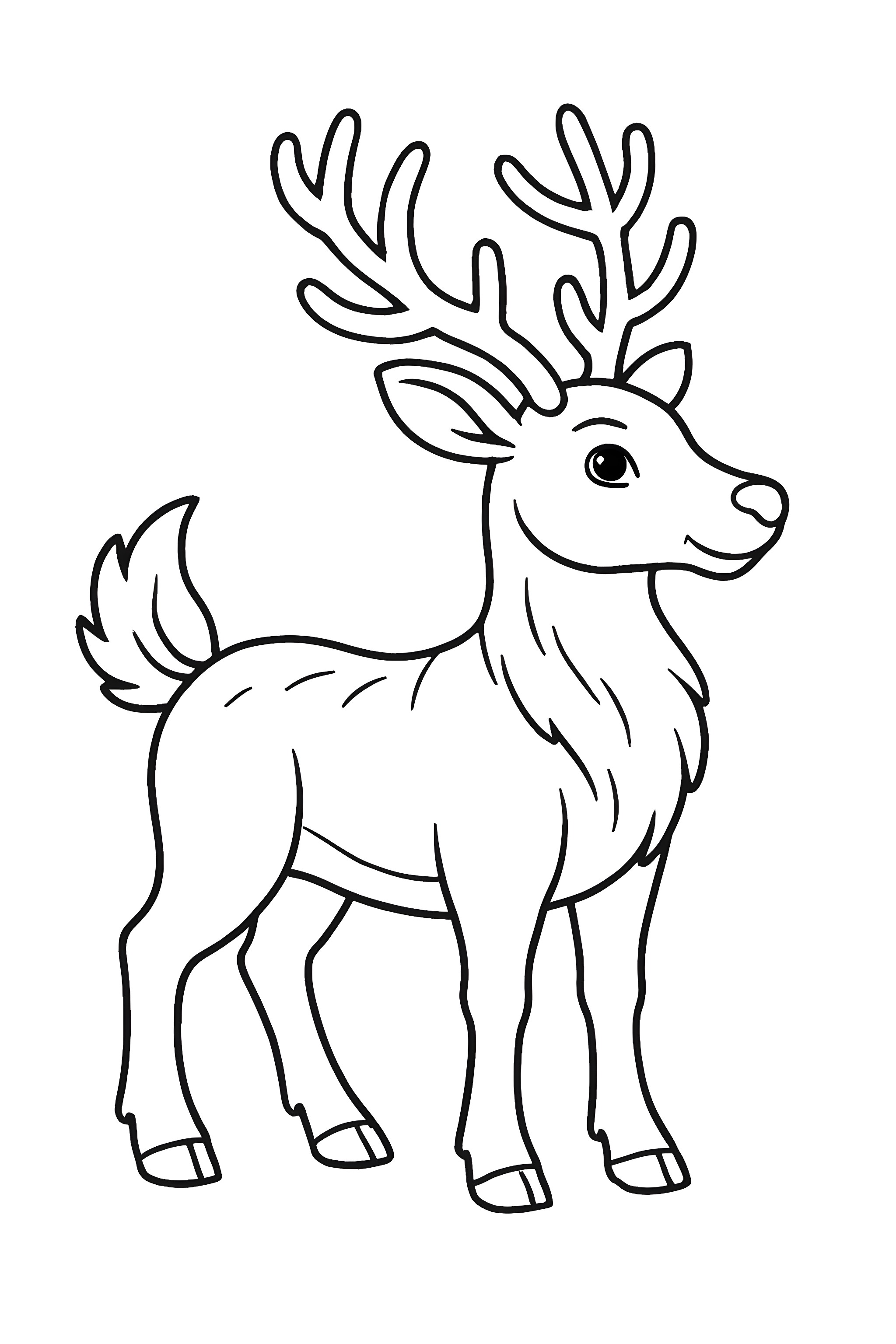 Coloring page of a reindeer featuring a tufted tail and detailed antlers, standing upright with a friendly expression