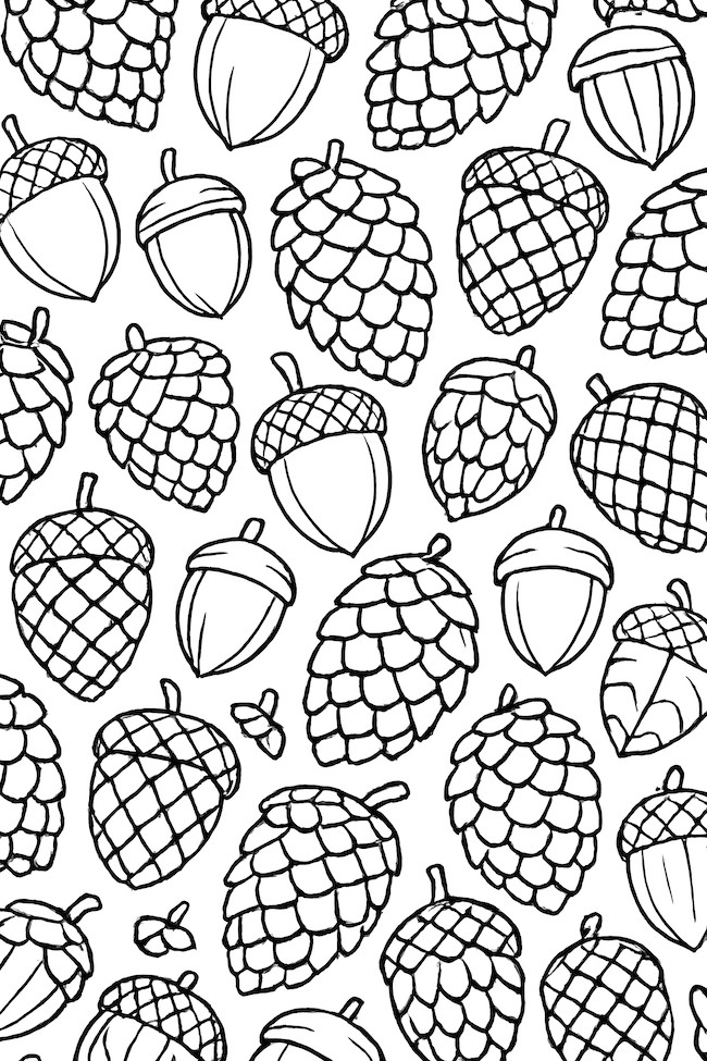 Coloring page of a pattern featuring multiple acorns and pinecones arranged in a repeating design