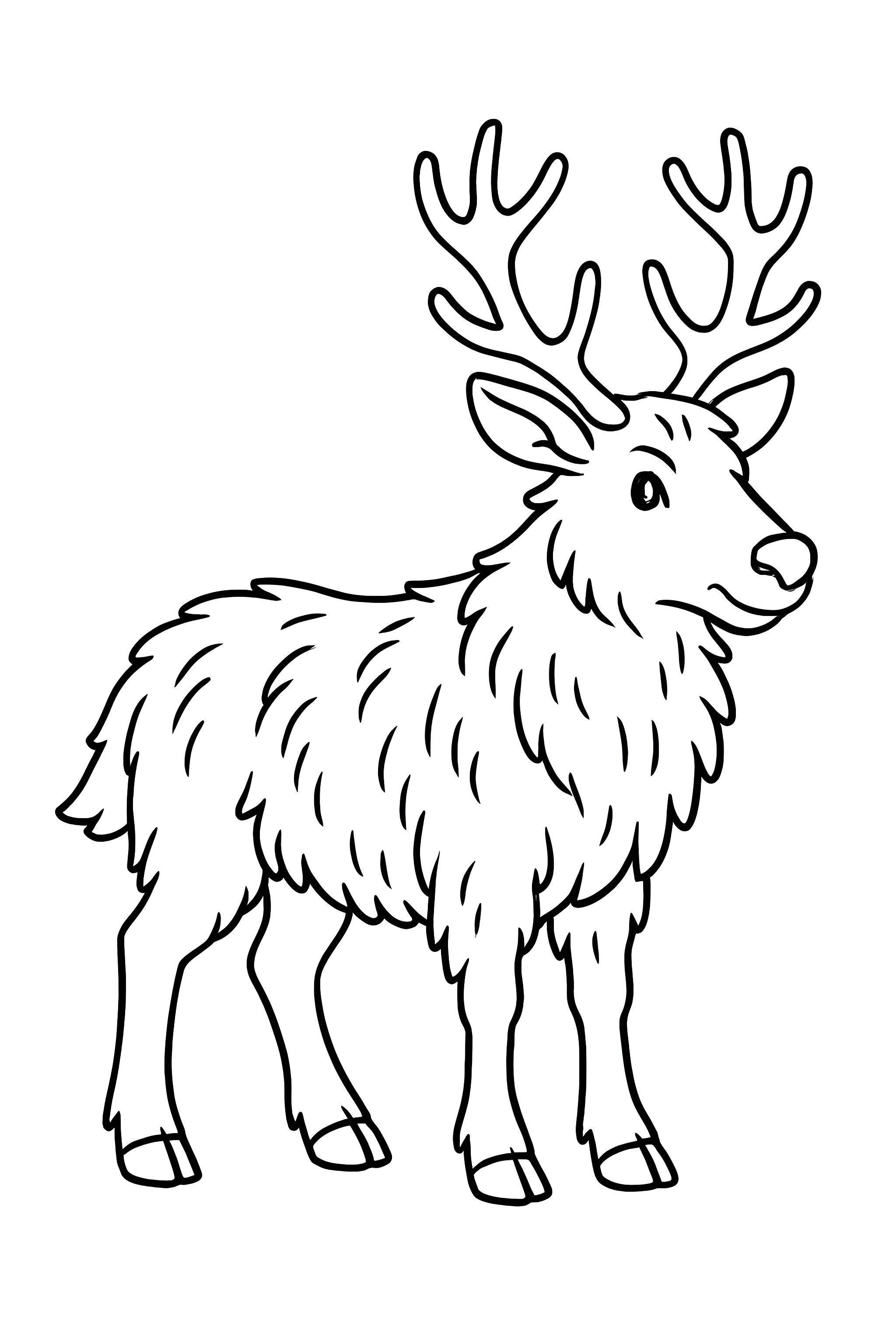 A reindeer with a shaggy winter coat and prominent antlers, standing upright