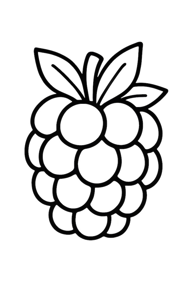 Coloring page of a single plump blackberry with two green leaves attached