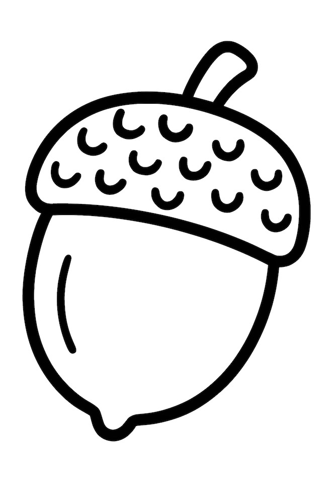 Coloring page featuring a detailed acorn with a textured cap and a small stem