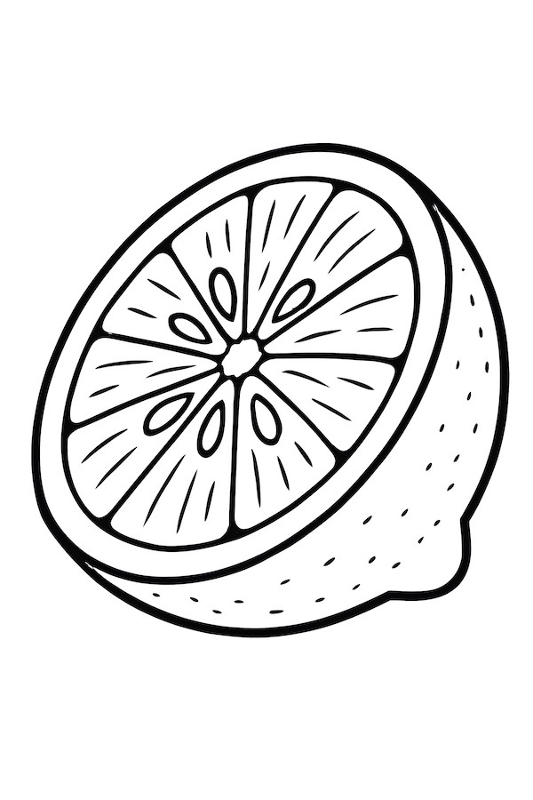 Coloring page of a lemon half showcasing visible seeds and distinctive segments