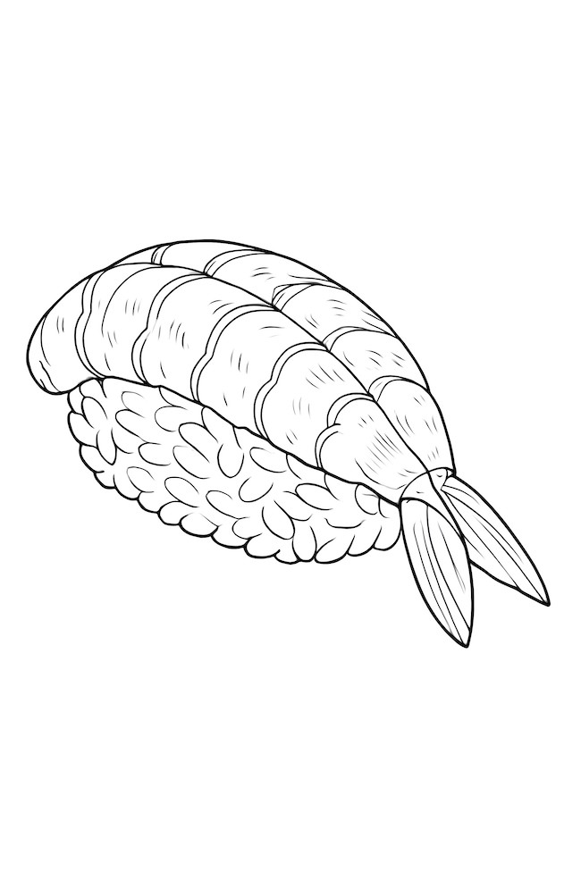 Coloring page of a shrimp sushi piece featuring detailed Shrimps and rice design