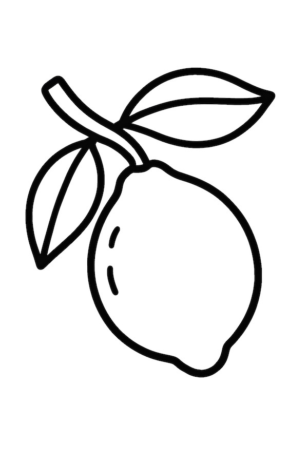Coloring page featuring a single lemon hanging on a curved branch with two leaves