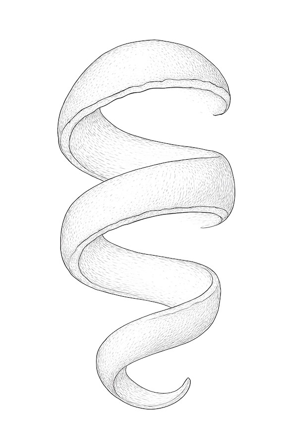 Coloring page of a realistic lemon peel with a spiral curling design and textured surface.
